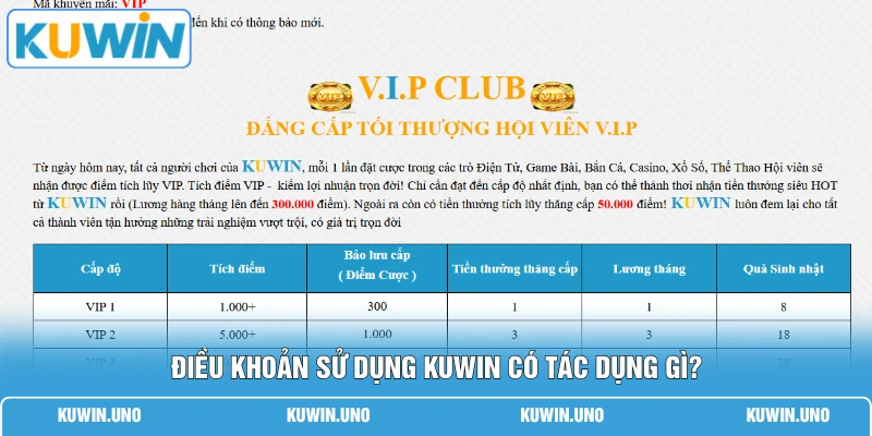 Điều khoản sử dụng KUWIN có tác dụng gì?